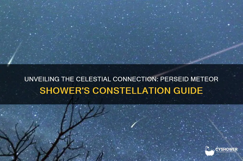what constellation i persie meteor shower