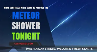Tonight's Meteor Shower: Which Constellation Will Light Up the Sky?