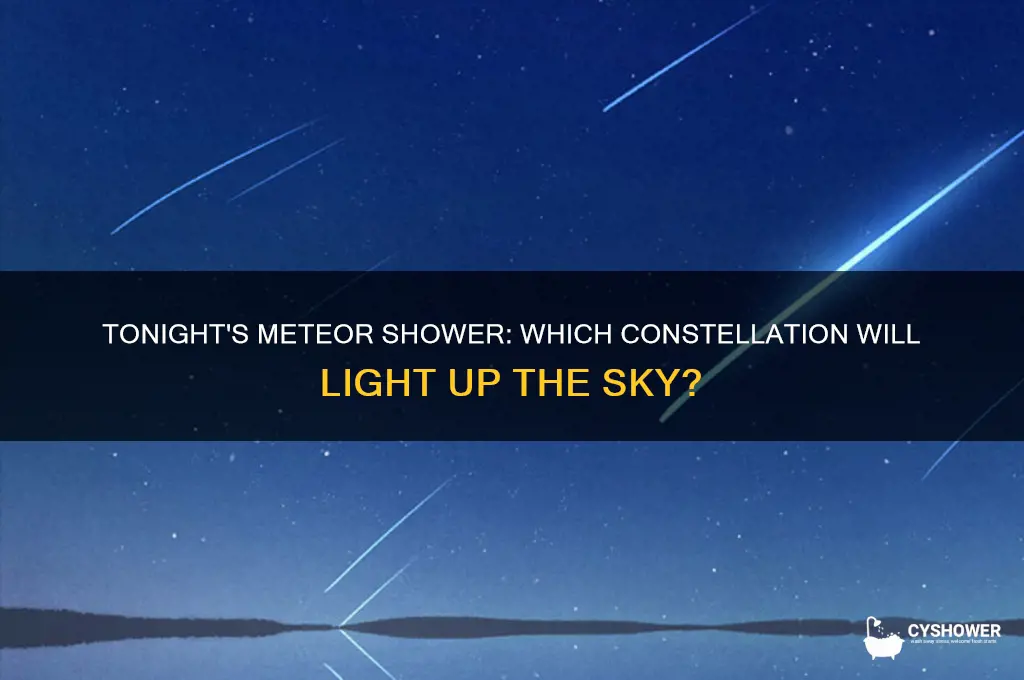 what constellation is going to produce the meteor shower tonight