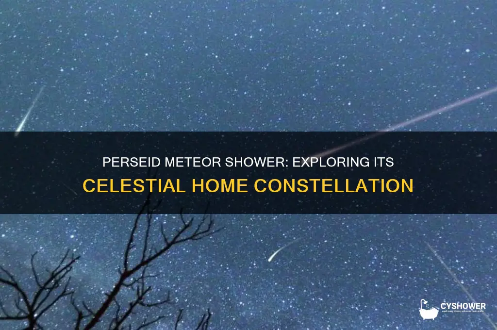 what constellation is perseid meteor shower