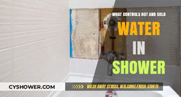 Understanding Shower Valves: How They Regulate Hot and Cold Water