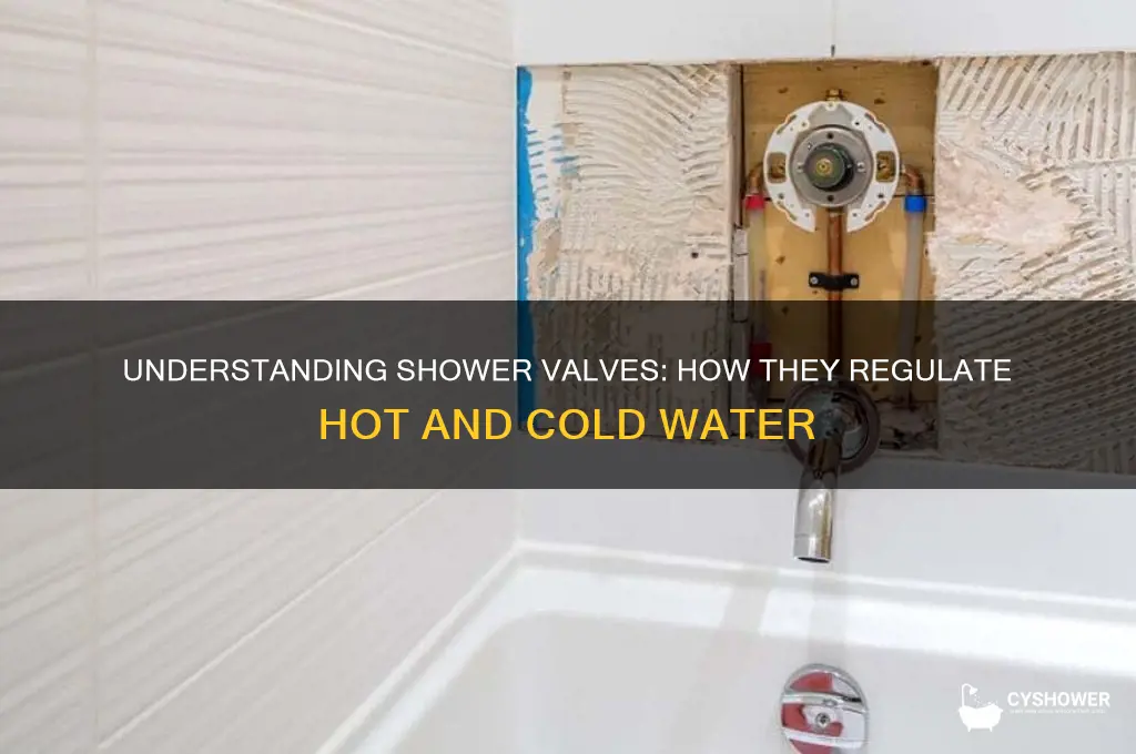 what controls hot and cold water in shower