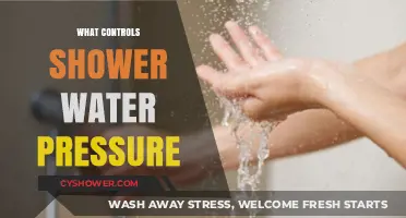 Understanding the Factors That Control Your Shower Water Pressure