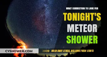 Tonight's Meteor Shower: Essential Corrections for Optimal Viewing Experience