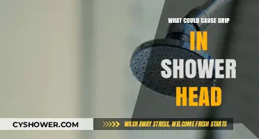 Why Your Shower Head is Dripping: Common Causes and Fixes