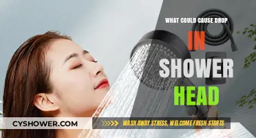 Why Your Shower Head Pressure Suddenly Drops: Common Causes Explained