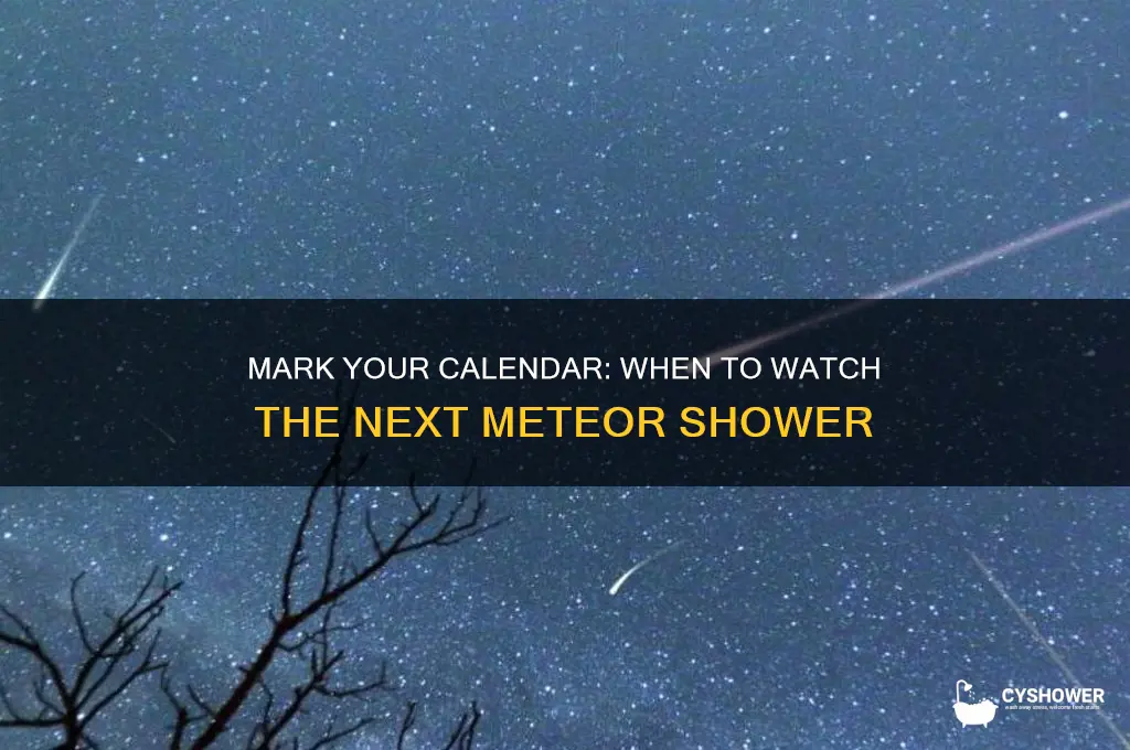 what date is meteor shower