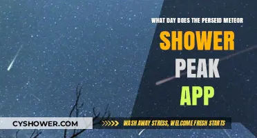 Perseid Meteor Shower Peak: Best App for Stunning Night Sky Views