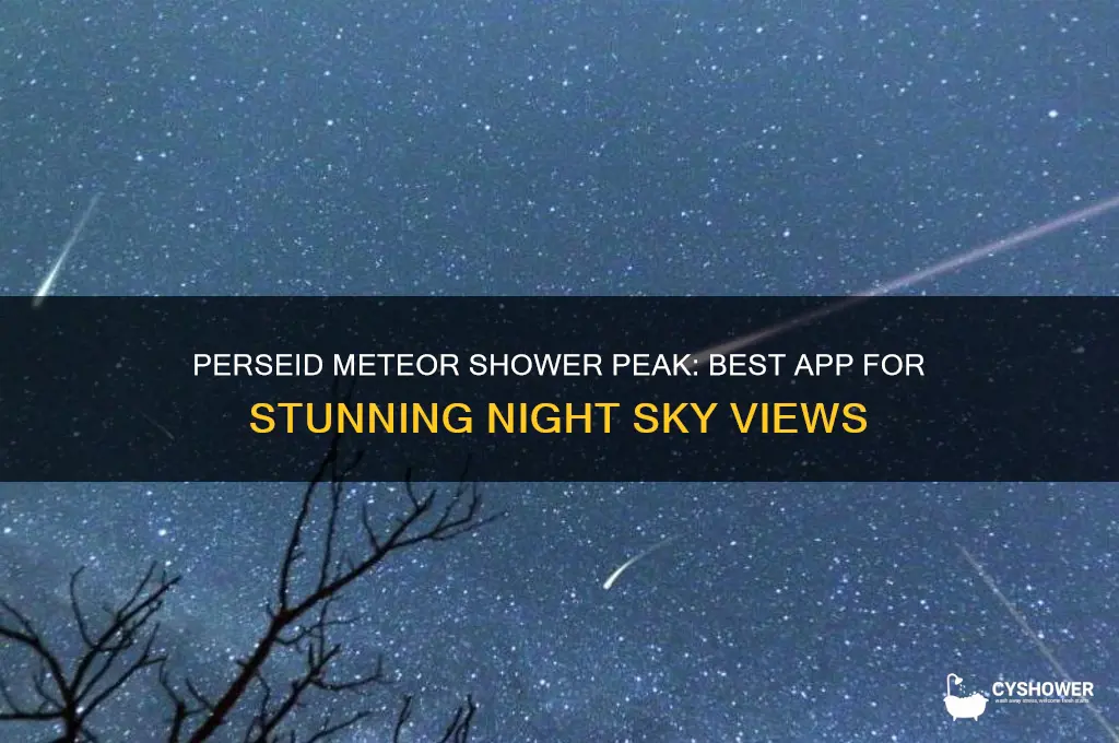 what day does the perseid meteor shower peak app
