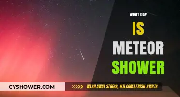 When to Watch: Meteor Shower Dates and Peak Viewing Tips