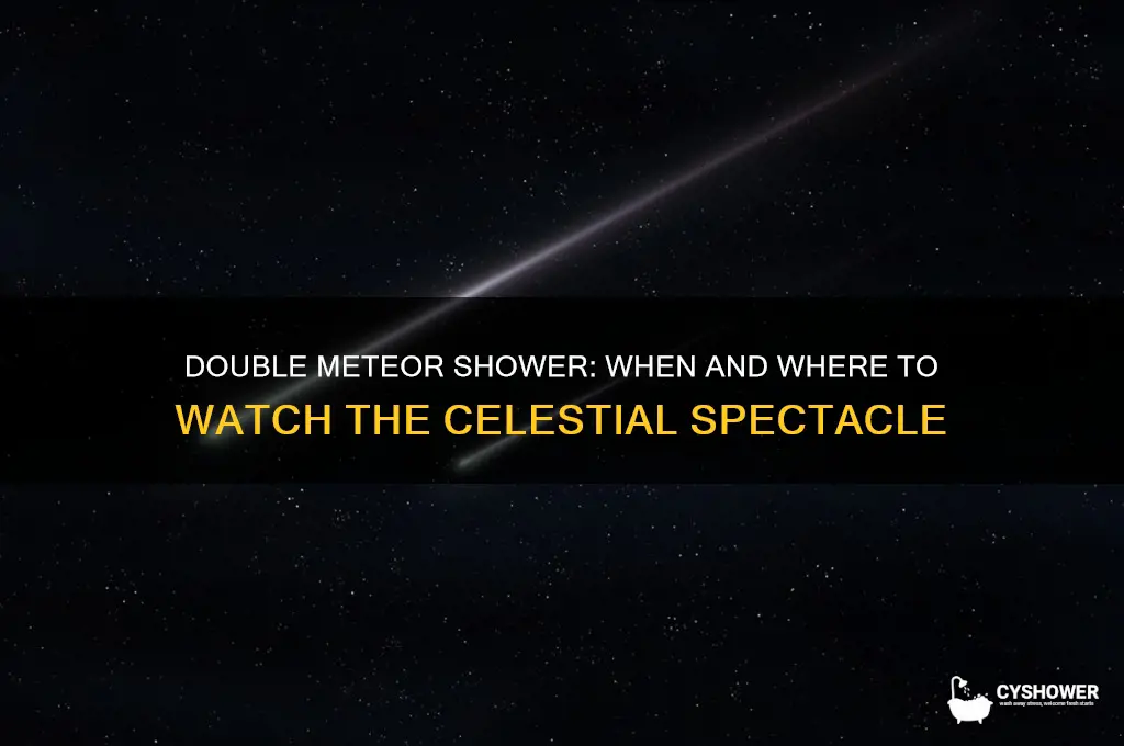 what day is the double meteor shower
