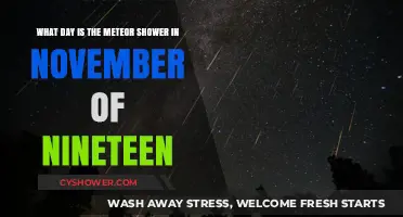 November 19th Meteor Shower: Date, Time, and Viewing Tips