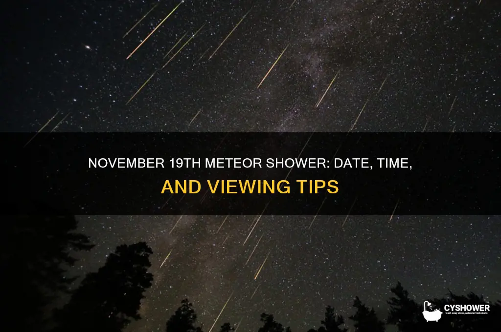 what day is the meteor shower in november of nineteen