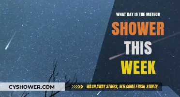 Catch the Meteor Shower This Week: Date and Viewing Tips