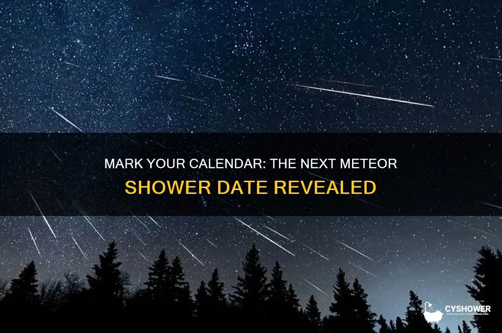 what day is the next meteor shower