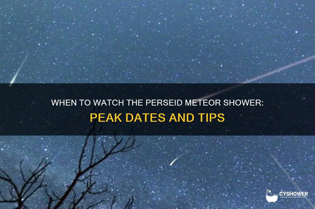 what day is the perseid meteor shower