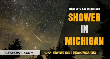 Michigan Meteor Shower Dates: When to Watch the Night Sky