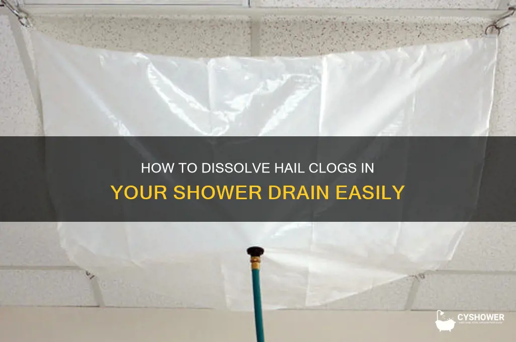 what dessovels hail in shower drain