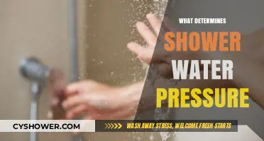 Understanding the Factors That Determine Your Shower Water Pressure