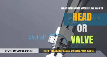 Shower Head vs. Valve: What Controls Your Water Flow?