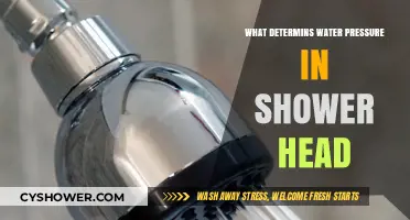 Understanding Factors That Determine Your Shower Head's Water Pressure