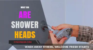 Understanding Shower Heads: Types, Functions, and Maintenance Tips