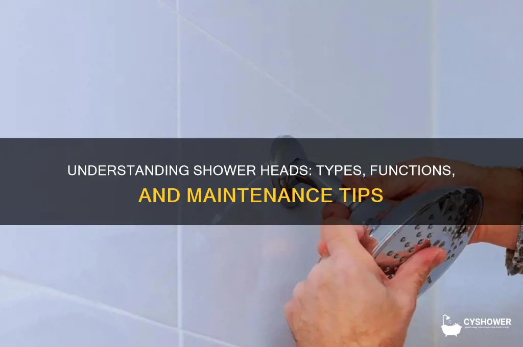 what dia are shower heads