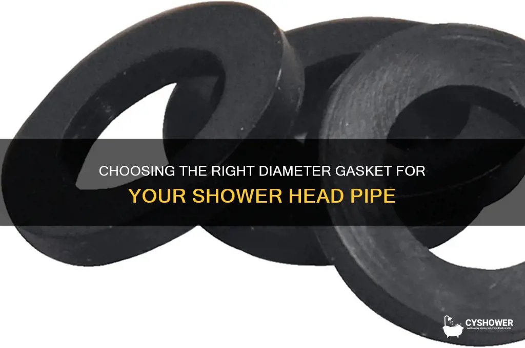 what diameter gasket for pipe for shower head