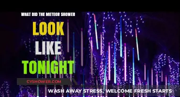 Tonight's Meteor Shower: A Celestial Spectacle of Streaking Lights