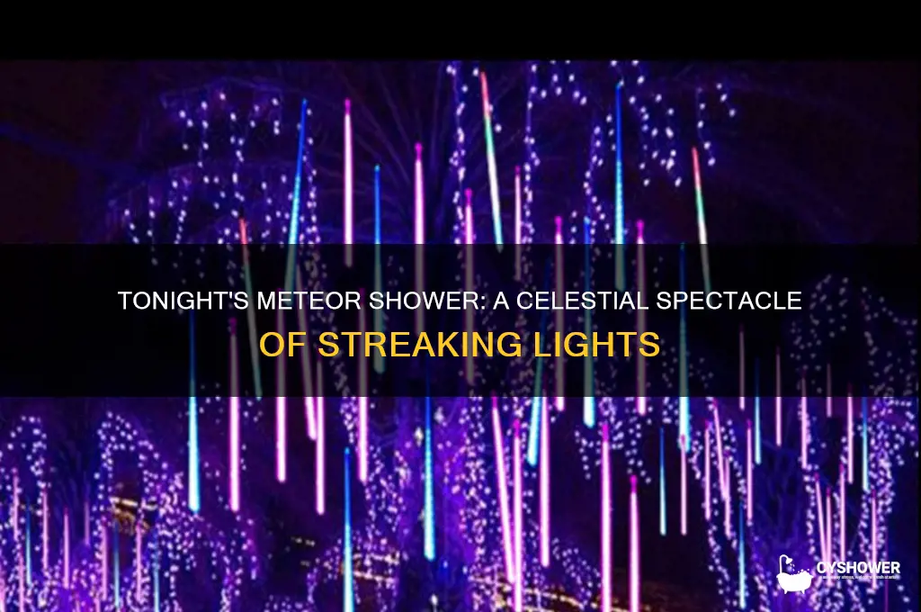 what did the meteor shower look like tonight