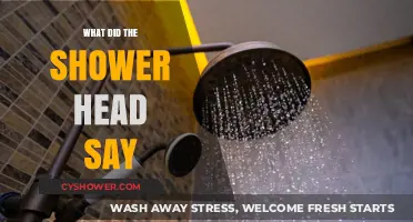 What Did the Shower Head Say? Unveiling Its Surprising Secrets