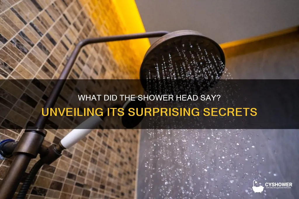 what did the shower head say