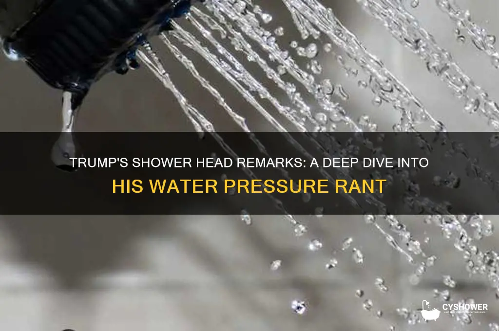 what did trump say about shower heads