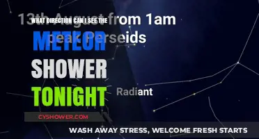 Tonight's Meteor Shower: Best Viewing Direction and Time Guide