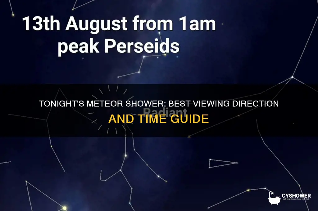 what direction can i see the meteor shower tonight