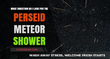 Where to Look for the Perseid Meteor Shower: A Stargazer's Guide