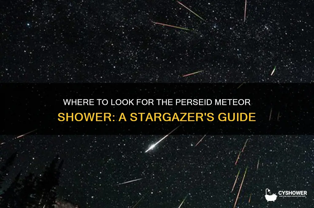 what direction do i look for the perseid meteor shower