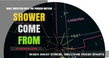 Where Do Perseids Originate? Tracing the Meteor Shower's Radiant Point