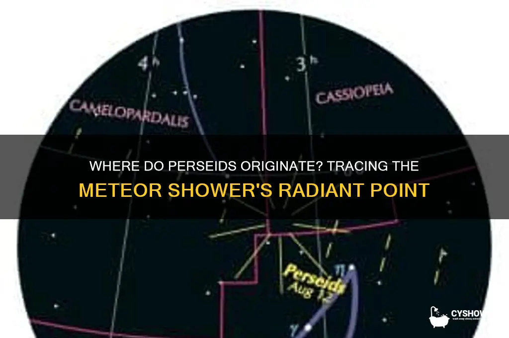 what direction does the perseid meteor shower come from