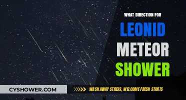 Navigating the Leonid Meteor Shower: Optimal Viewing Directions and Tips