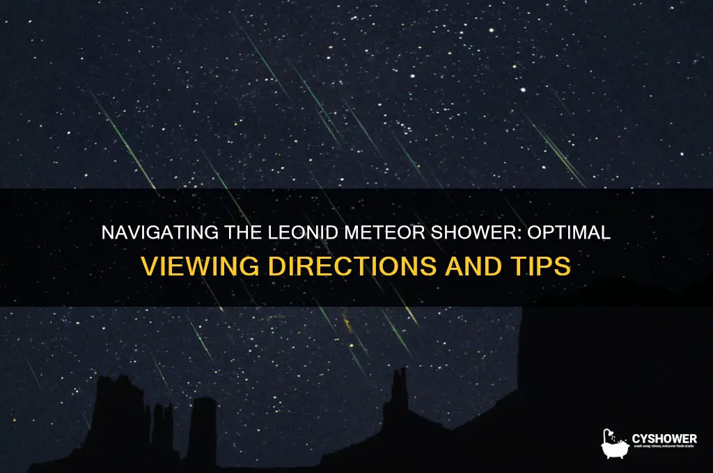 what direction for leonid meteor shower