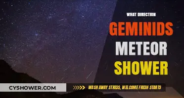 Geminids Meteor Shower: Celestial Path and Viewing Tips
