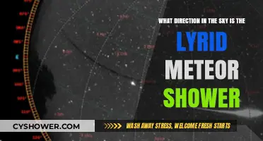 Where to Look for the Lyrid Meteor Shower in the Night Sky