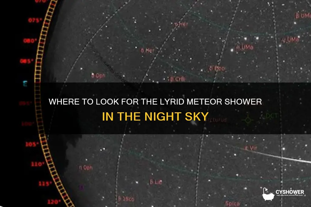 what direction in the sky is the lyrid meteor shower