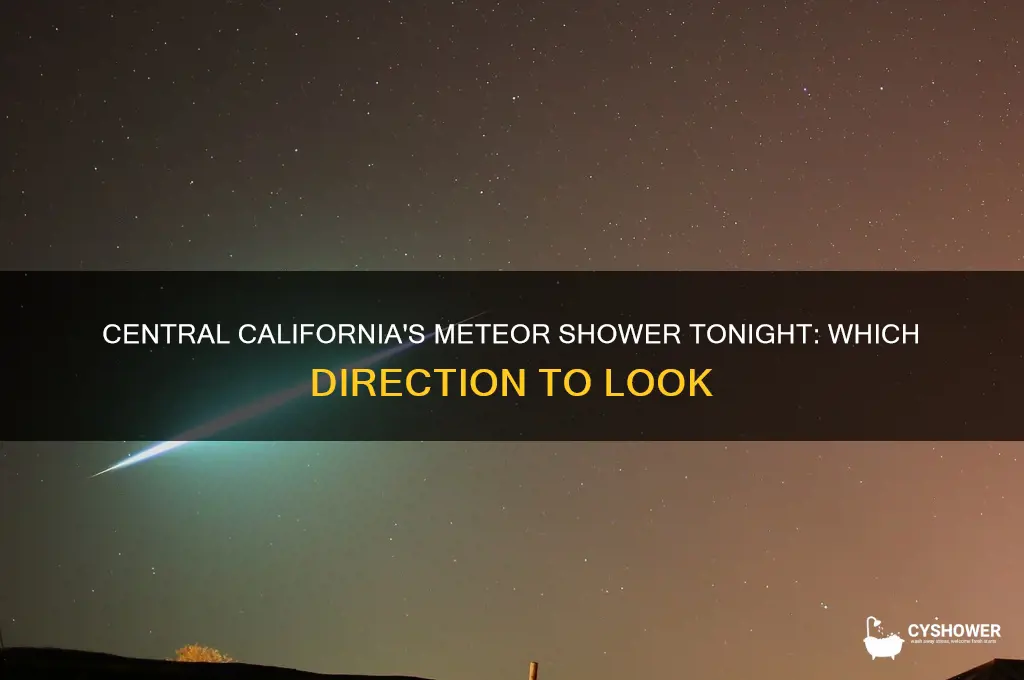 what direction is meteor shower tonight central california