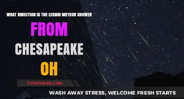 Chesapeake, OH Leonid Meteor Shower Viewing Direction Guide