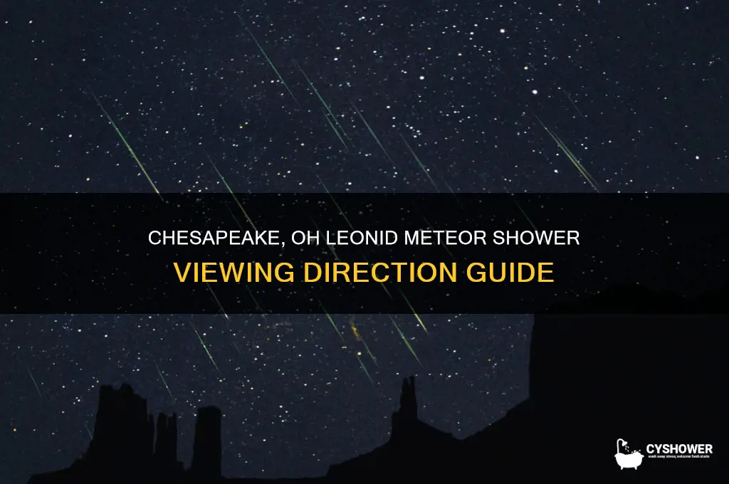 what direction is the leonid meteor shower from chesapeake oh