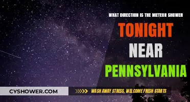 Pennsylvania's Night Sky: Meteor Shower Direction Guide Tonight