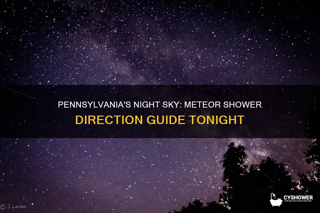 what direction is the meteor shower tonight near pennsylvania