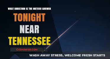 Tennessee's Night Sky: Meteor Shower Viewing Direction Tonight